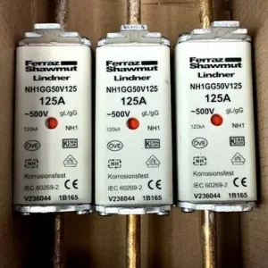 3x Ferraz Shawmut Lindner Sicherungseinsatz Gr. NH1 500V 125A Neue Kollektion
