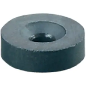 Bedämpfungsmagnet, Hartferrit, (Ø x H) 13.6 x 3.9 mm, E12713, Packung mit 5 Stück Zertifiziert