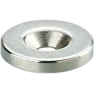 Aktuell Bedämpfungsmagnet, Neodym, (Ø x H) 24 x 4 mm, E12715, Packung mit 5 Stück